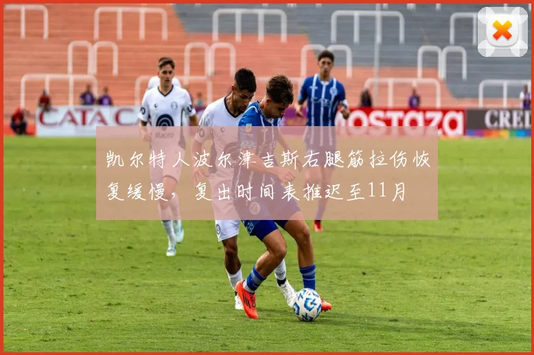 凯尔特人波尔津吉斯右腿筋拉伤恢复缓慢，复出时间表推迟至11月